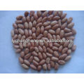 best quality peanut kernel for sale with lowest price